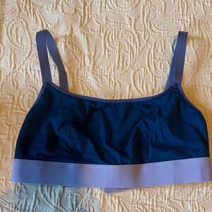 Blue and Purple Women's Bra